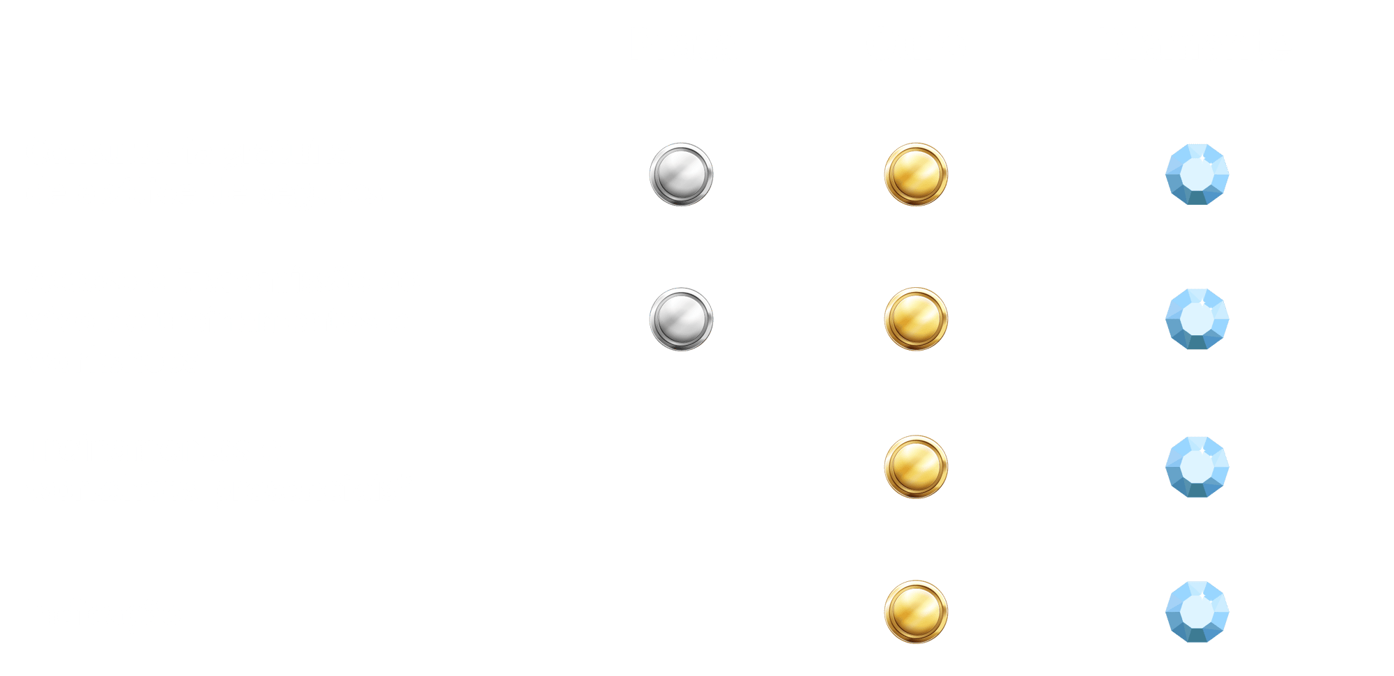 foto LP PRO-2